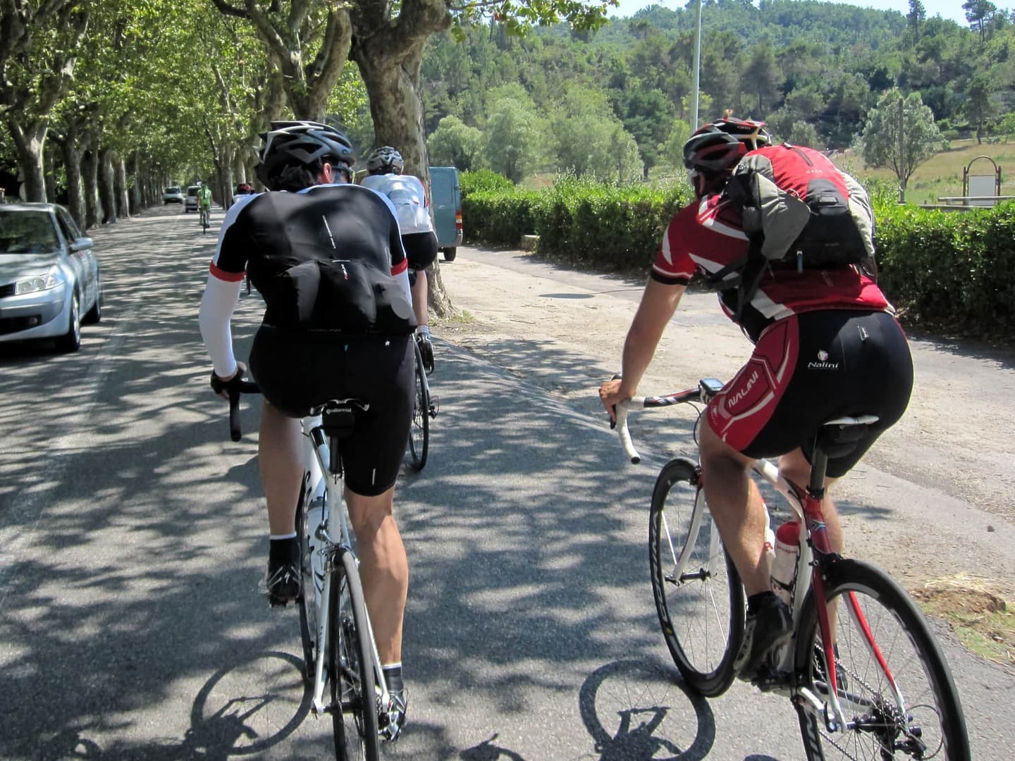 Rennradtour Frankreich von Cannes nach Paris, Rennradgruppe eine schöne Allee mit etwas Autoverkehr befahrend